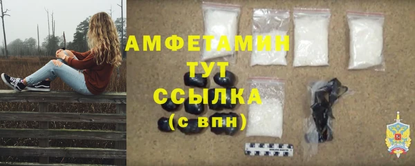 прущие крисы Бородино