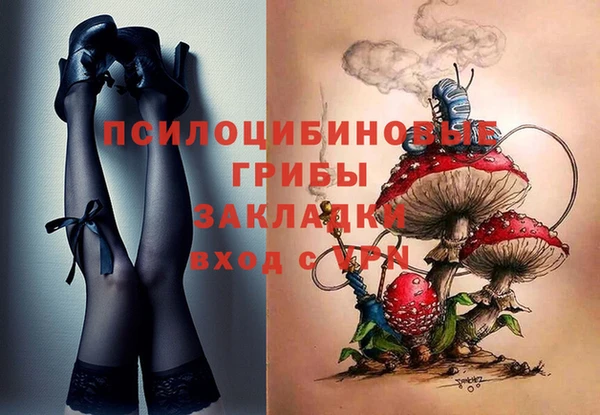 прущие крисы Богданович