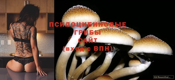 прущие крисы Богданович