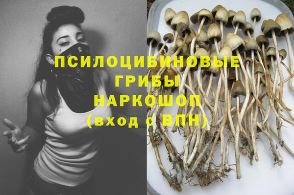 молекула духа Зеленокумск