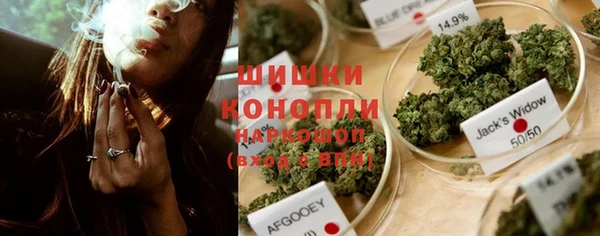 дживик Богородицк
