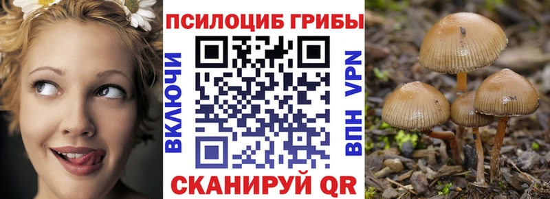 магазин продажи   Давлеканово  Галлюциногенные грибы мицелий 