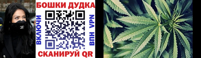 Марихуана ГИДРОПОН  Давлеканово 